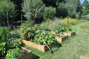 Reuring-vandaag-geen-tijd-om-te-moestuinieren