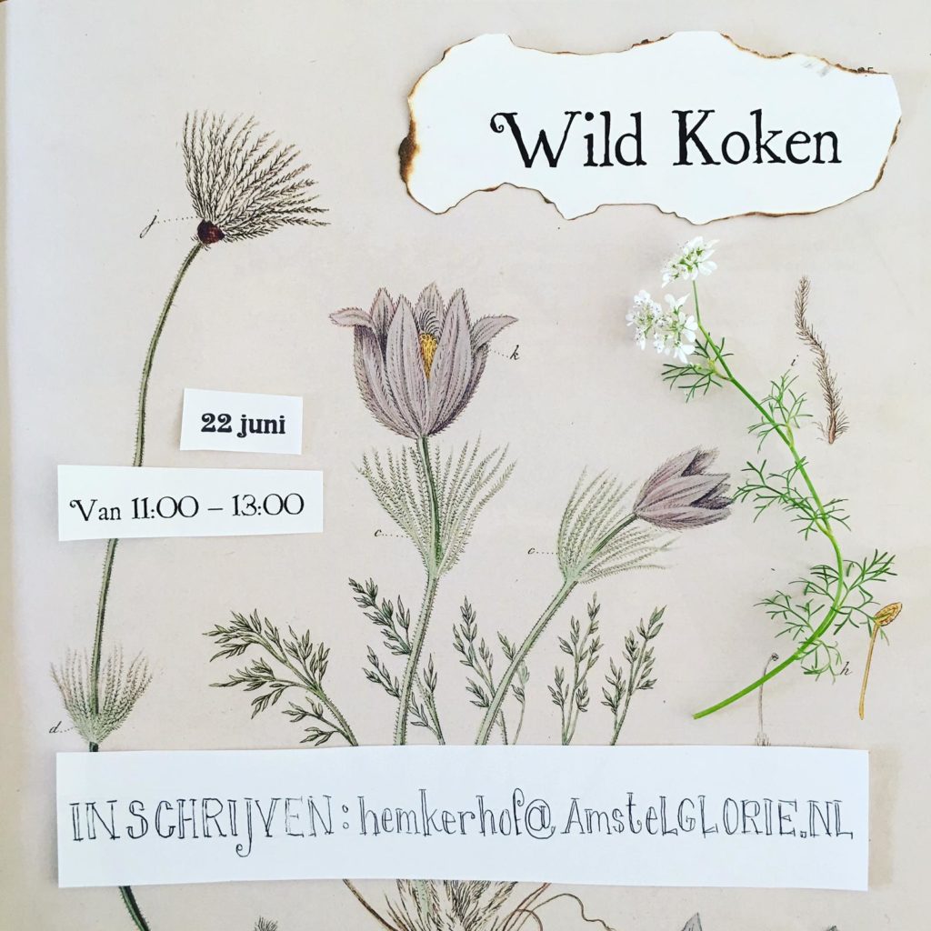 Amstelglorie-Wildkoken