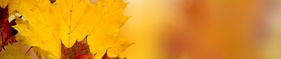 herfstblad geel oranje