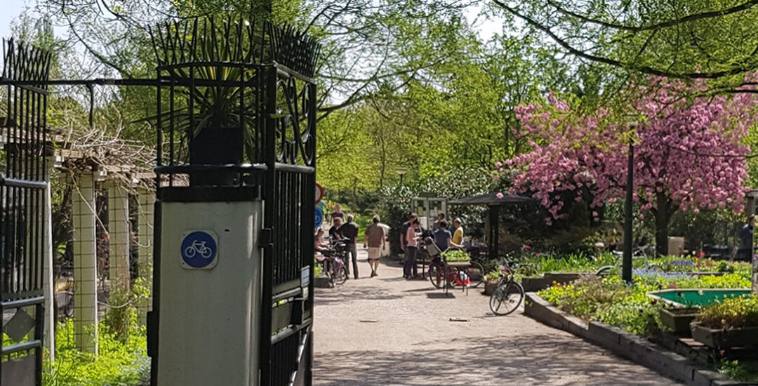 Wethouder bezoekt Amstelglorie