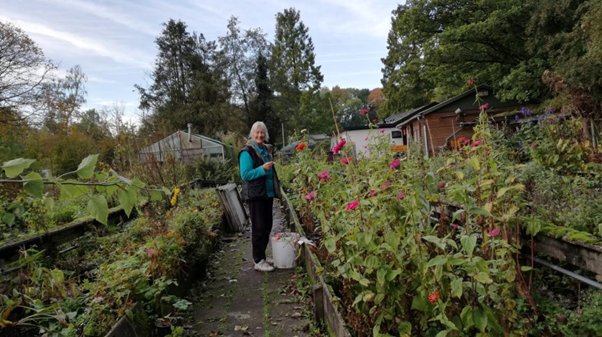 Planten vermeerderen