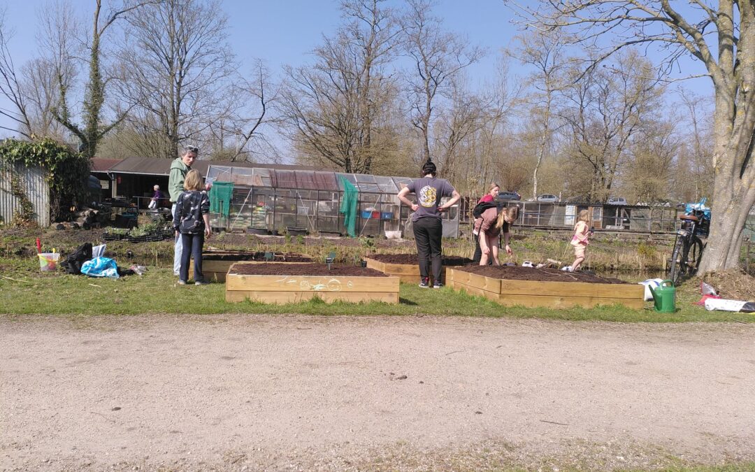 Tuinieren in een moestuinbak