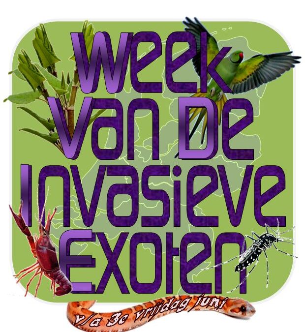 Week van de Invasieve Exoten | 16 – 25 juni