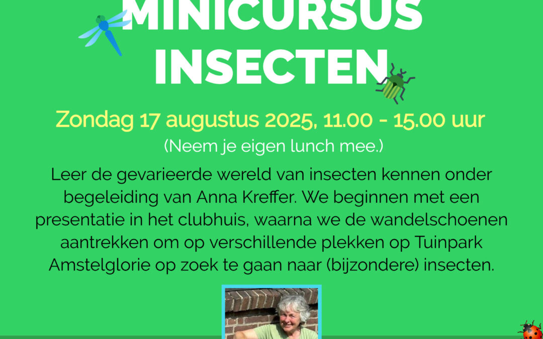 Minicursus insecten