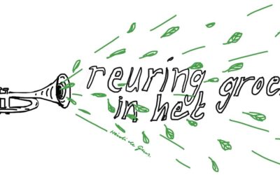Za 20 juni – Reuring in t Groen festival