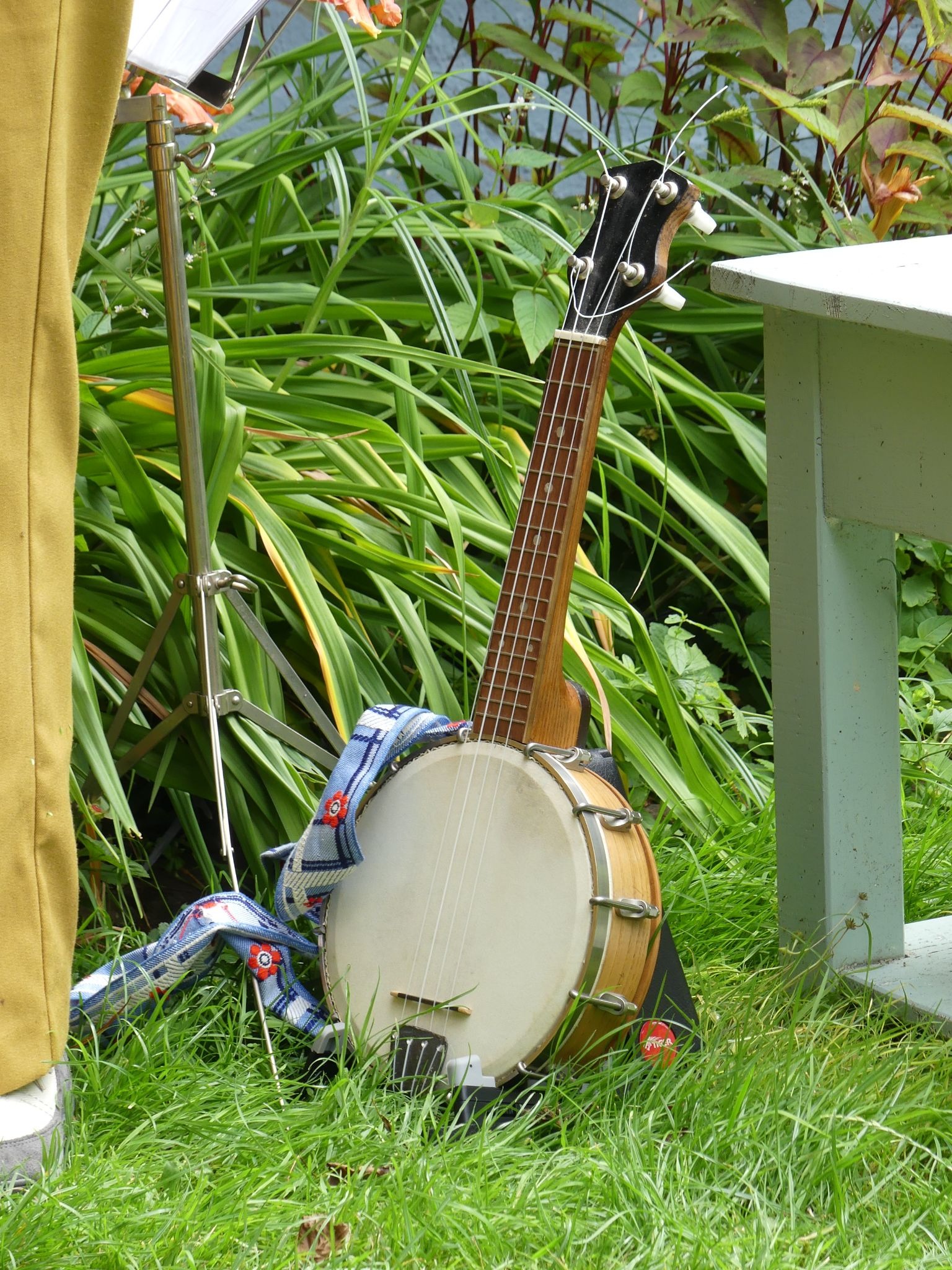 Banjo, Reuring in 't Groen