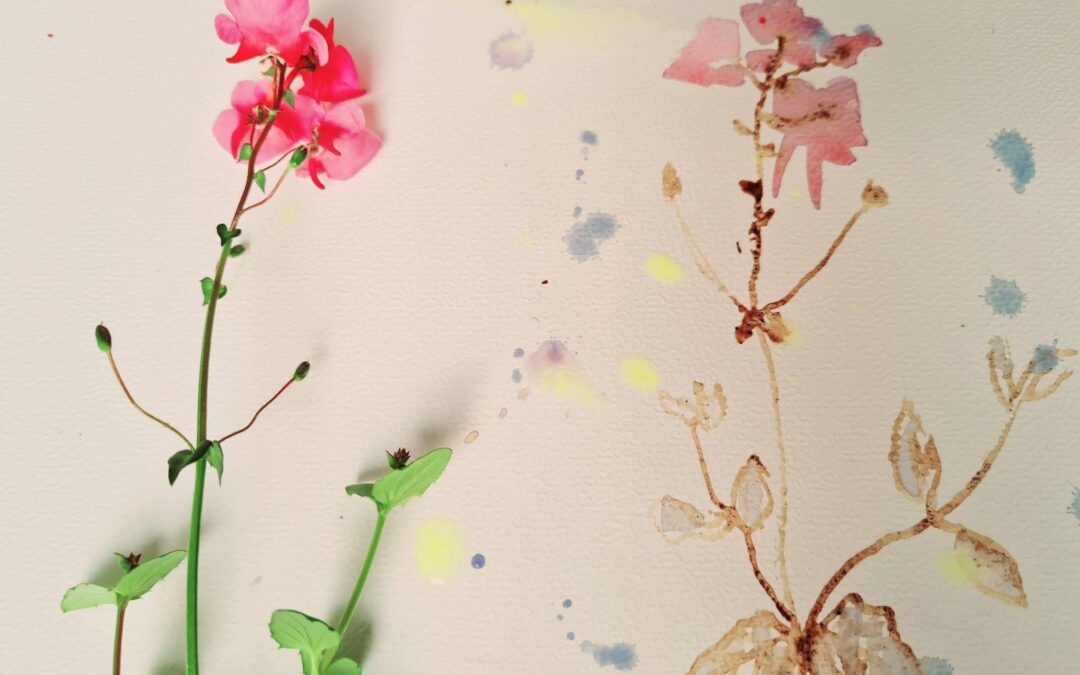 Van planteninkt tot aquarel