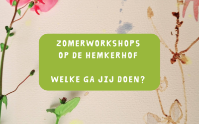 Zomerworkshops: creatief in & met de natuur