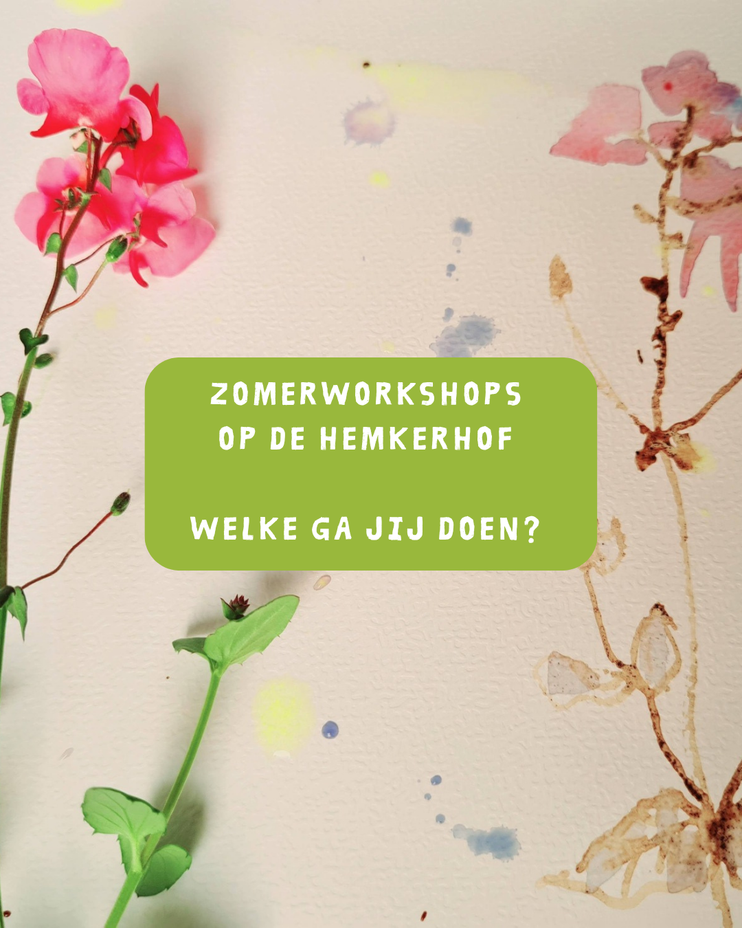 Zomerworkshops, welke ga jij doen?