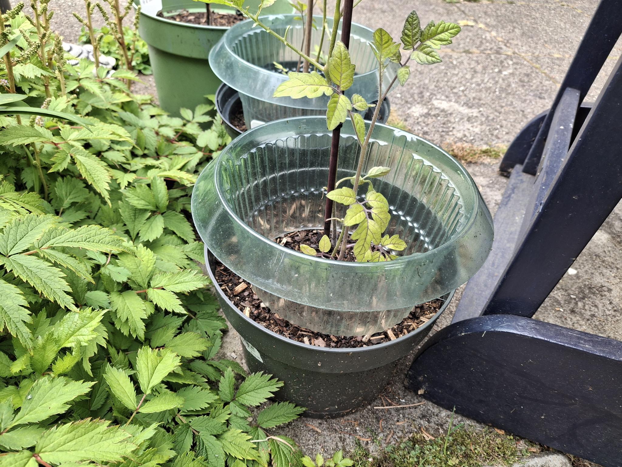 Slakkenwerende pot